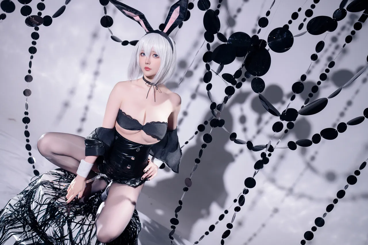 星之迟迟 - 25年3月计划C 尼尔：机械纪元 2B 兔女郎-erohere17.webp